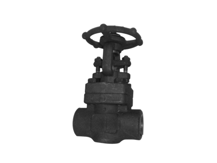 Valvotubi Ind. forged steel gate valve ANSI #800 art.1511