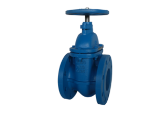 Metal seated gate valves in cast iron inside screw, PN 10